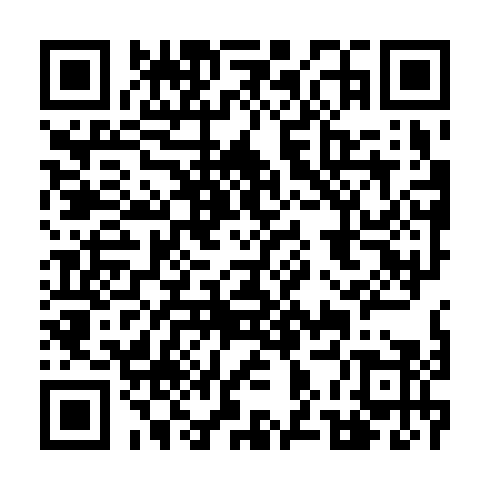 DPP QR Code