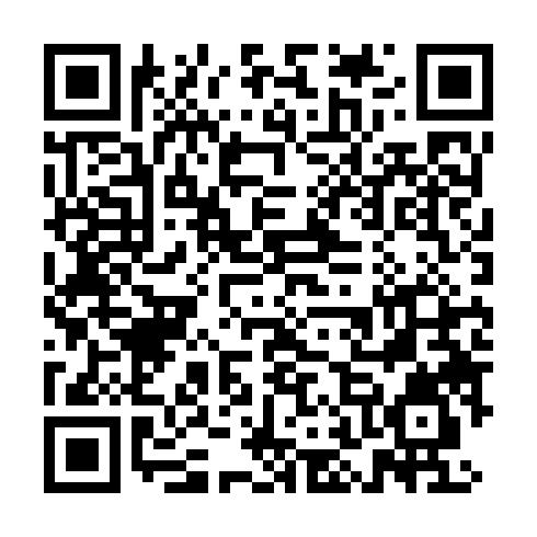 DPP QR Code