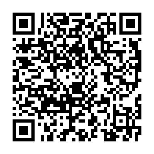 DPP QR Code