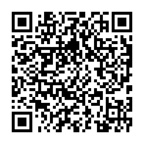 DPP QR Code