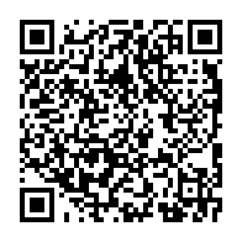 DPP QR Code