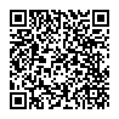 DPP QR Code