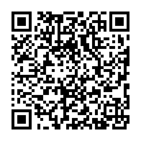 DPP QR Code