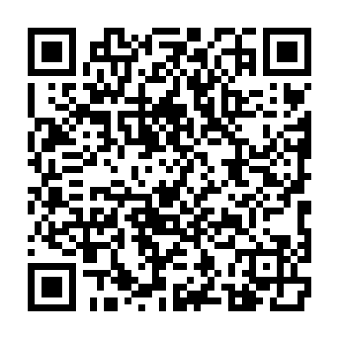 DPP QR Code