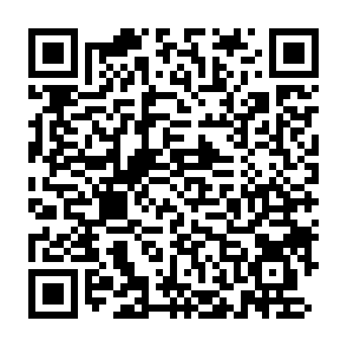 DPP QR Code