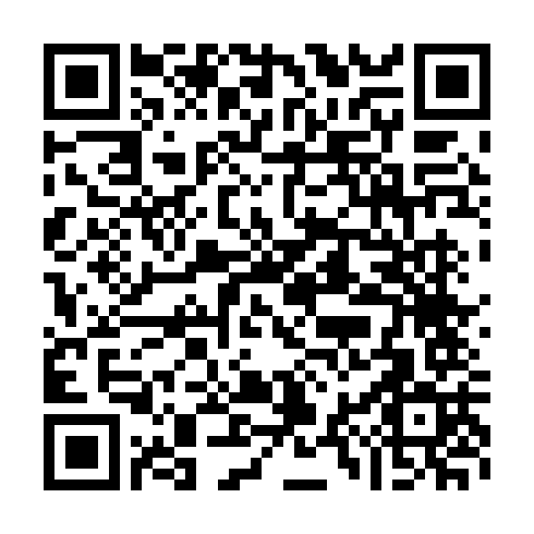DPP QR Code