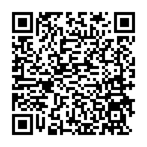 DPP QR Code