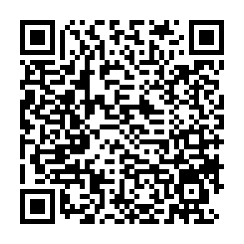 DPP QR Code