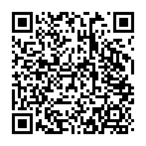 DPP QR Code