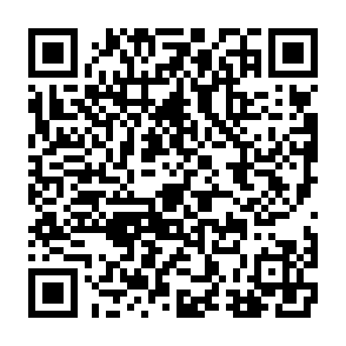 DPP QR Code